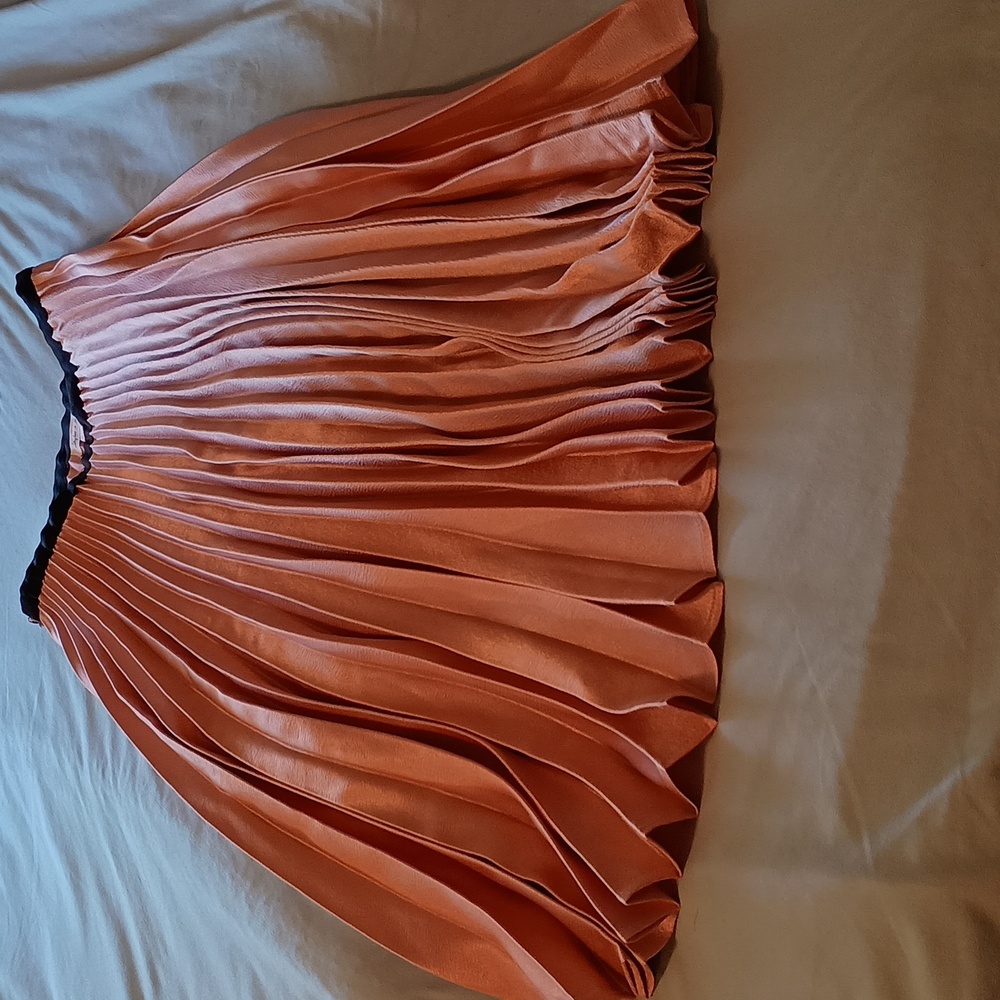 Skylar and Jade pleated pink skirt Sz L